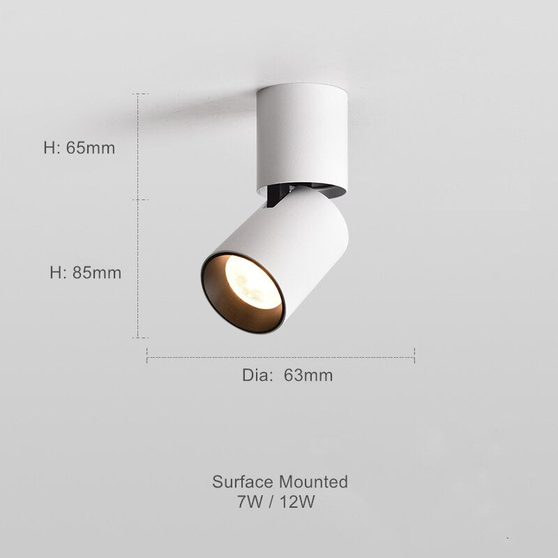 Adjustable Round Surface Mounted Downlight for Versatile Lighting NALANI
