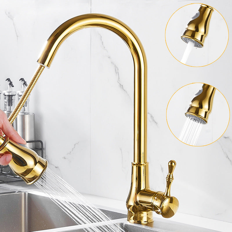 Brushed Gold Kitchen Faucet Pull Out Sprayer Swivel Spout NALANI