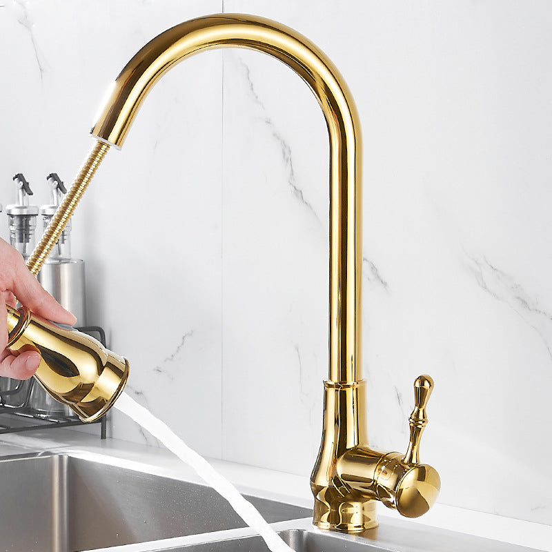 Brushed Gold Kitchen Faucet Pull Out Sprayer Swivel Spout NALANI