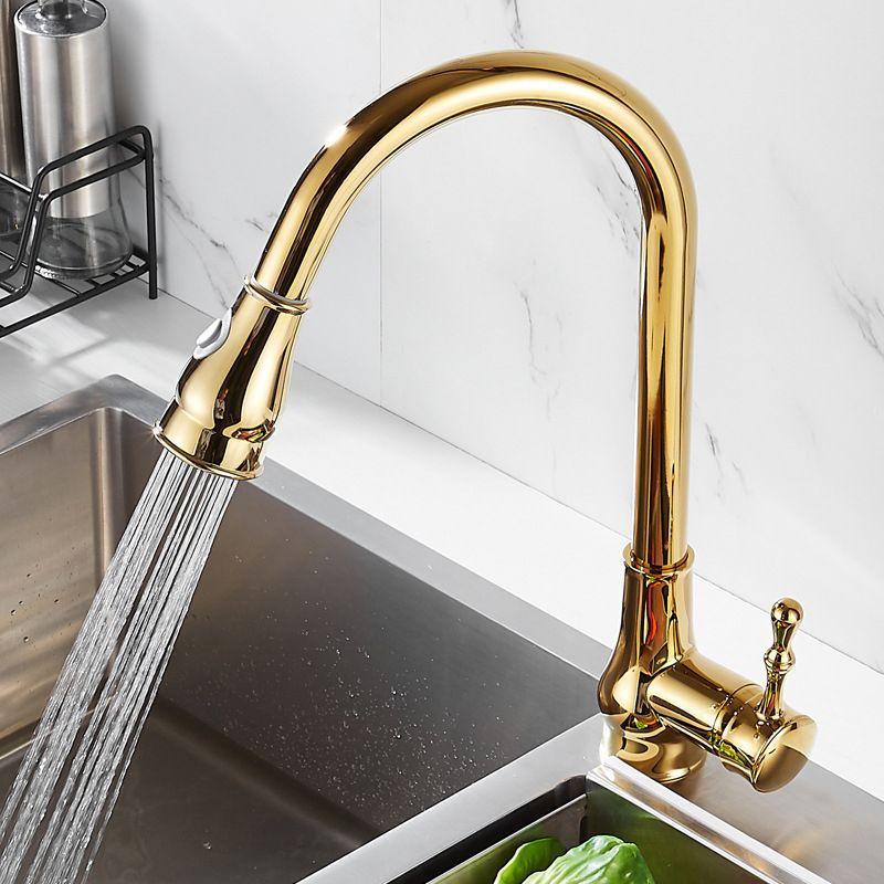 Brushed Gold Kitchen Faucet Pull Out Sprayer Swivel Spout NALANI