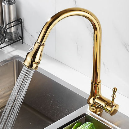 Brushed Gold Kitchen Faucet Pull Out Sprayer Swivel Spout NALANI