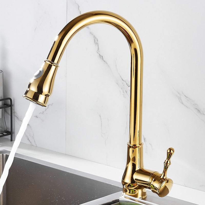 Brushed Gold Kitchen Faucet Pull Out Sprayer Swivel Spout NALANI