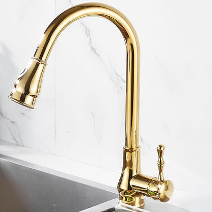 Brushed Gold Kitchen Faucet Pull Out Sprayer Swivel Spout NALANI