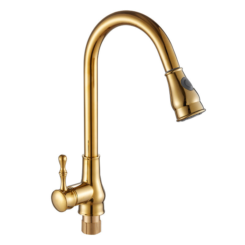 Brushed Gold Kitchen Faucet Pull Out Sprayer Swivel Spout NALANI