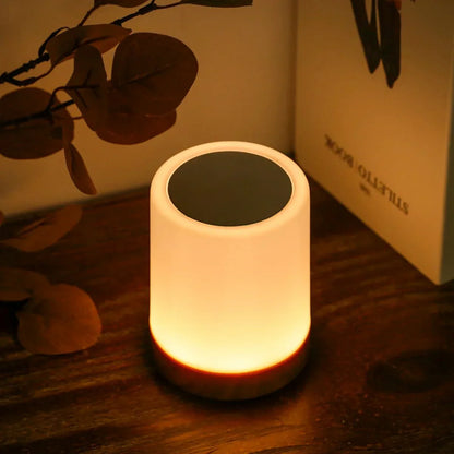 Cozy Portable Table Lamp with Touch Control and Adjustable Brightness NALANI