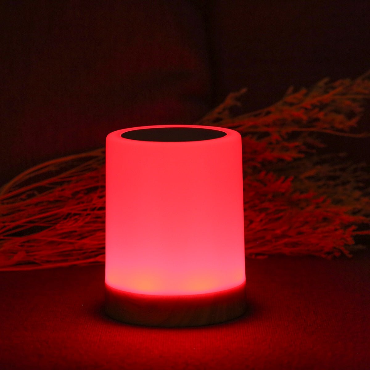 Cozy Portable Table Lamp with Touch Control and Adjustable Brightness NALANI