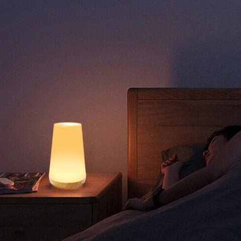 Cozy Portable Table Lamp with Touch Control and Adjustable Brightness NALANI