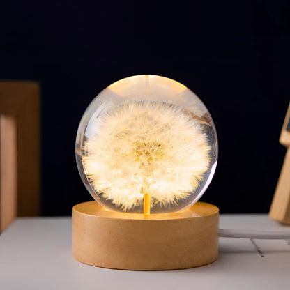 Dandelion Resin Lamp With LED Wooden Base Night Light Paardenbloem Round A NALANI