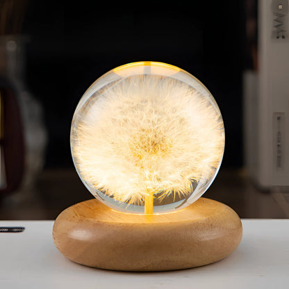 Dandelion Resin Lamp With LED Wooden Base Night Light Paardenbloem Round C NALANI