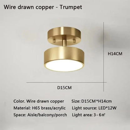 Dimmable LED Ceiling Light With Adjustable Color Temperature NALANI