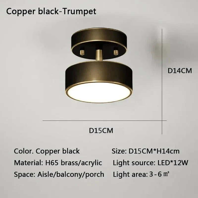 Dimmable LED Ceiling Light With Adjustable Color Temperature NALANI