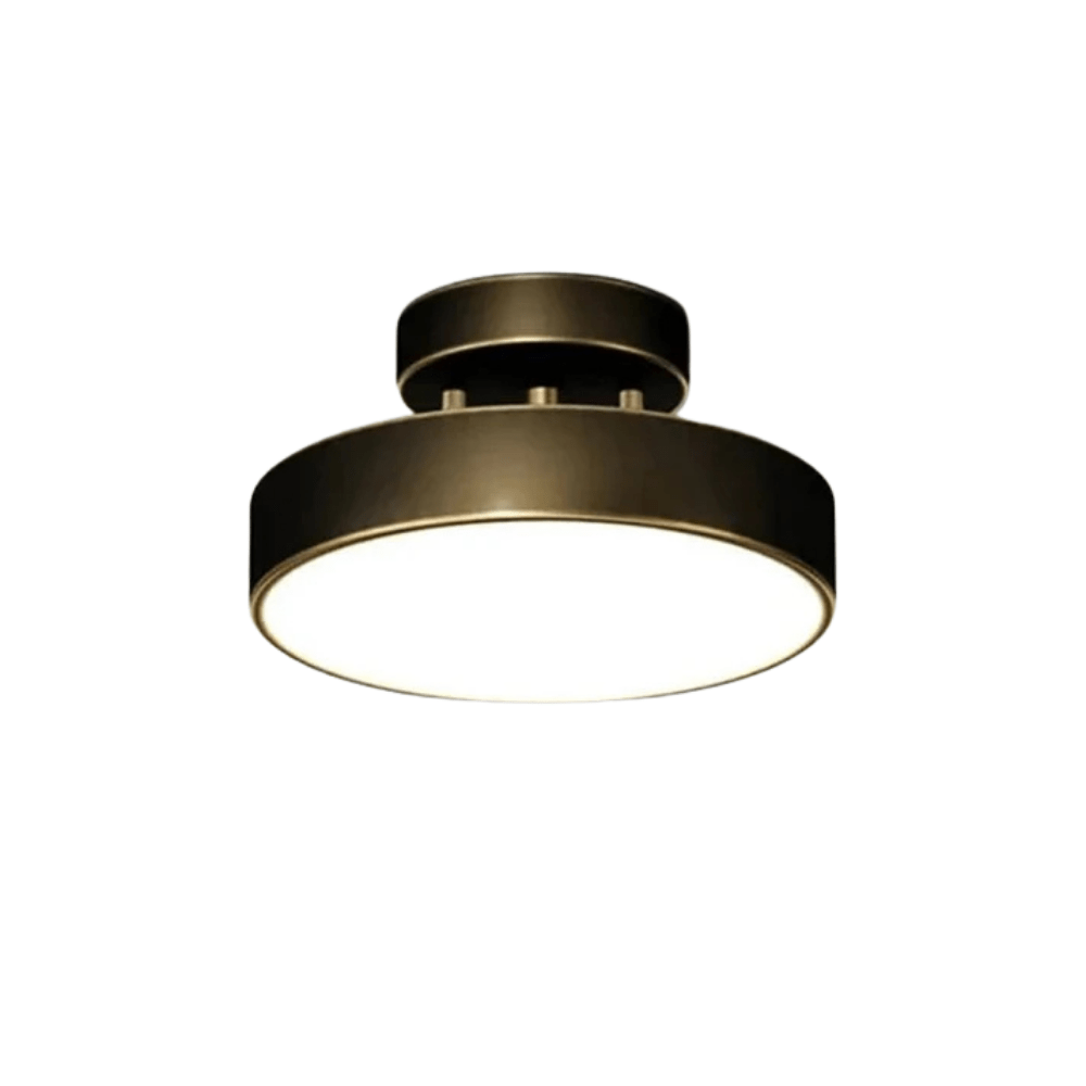 Dimmable LED Ceiling Light With Adjustable Color Temperature Black 20CM NALANI