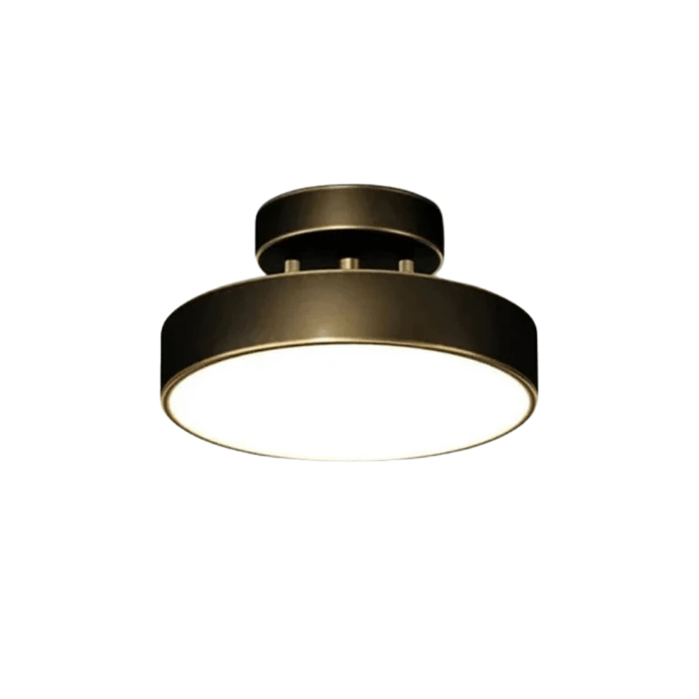 Dimmable LED Ceiling Light With Adjustable Color Temperature Black 30CM NALANI