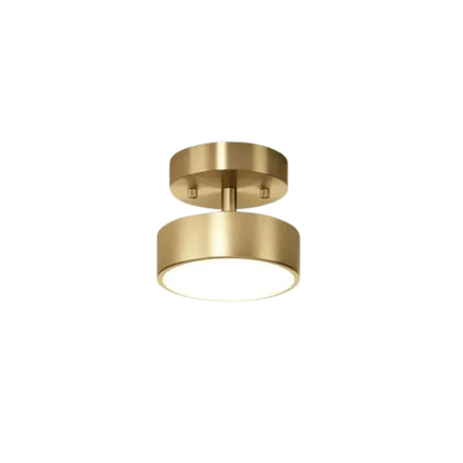 Dimmable LED Ceiling Light With Adjustable Color Temperature Gold 15CM NALANI