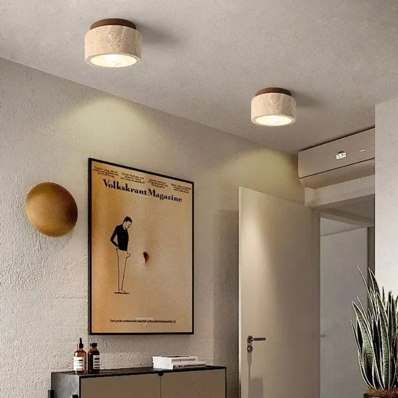 Elegant Ceiling Lamp for Stairwell and Hallway Illumination NaLani