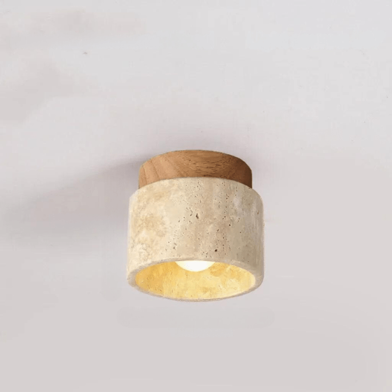 Elegant Ceiling Lamp for Stairwell and Hallway Illumination NaLani