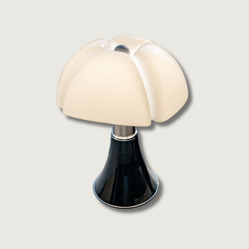 Elegant Classic Lighting Lamp with Energy Efficient LED Design Black NaLani