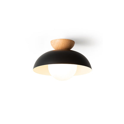 Energy Efficient Ceiling Lamp With Warm Ambient Light NALANI