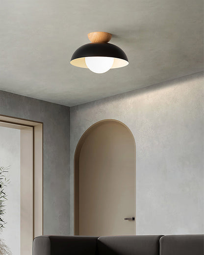Energy Efficient Ceiling Lamp With Warm Ambient Light NALANI