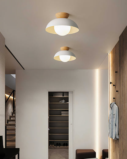 Energy Efficient Ceiling Lamp With Warm Ambient Light NALANI