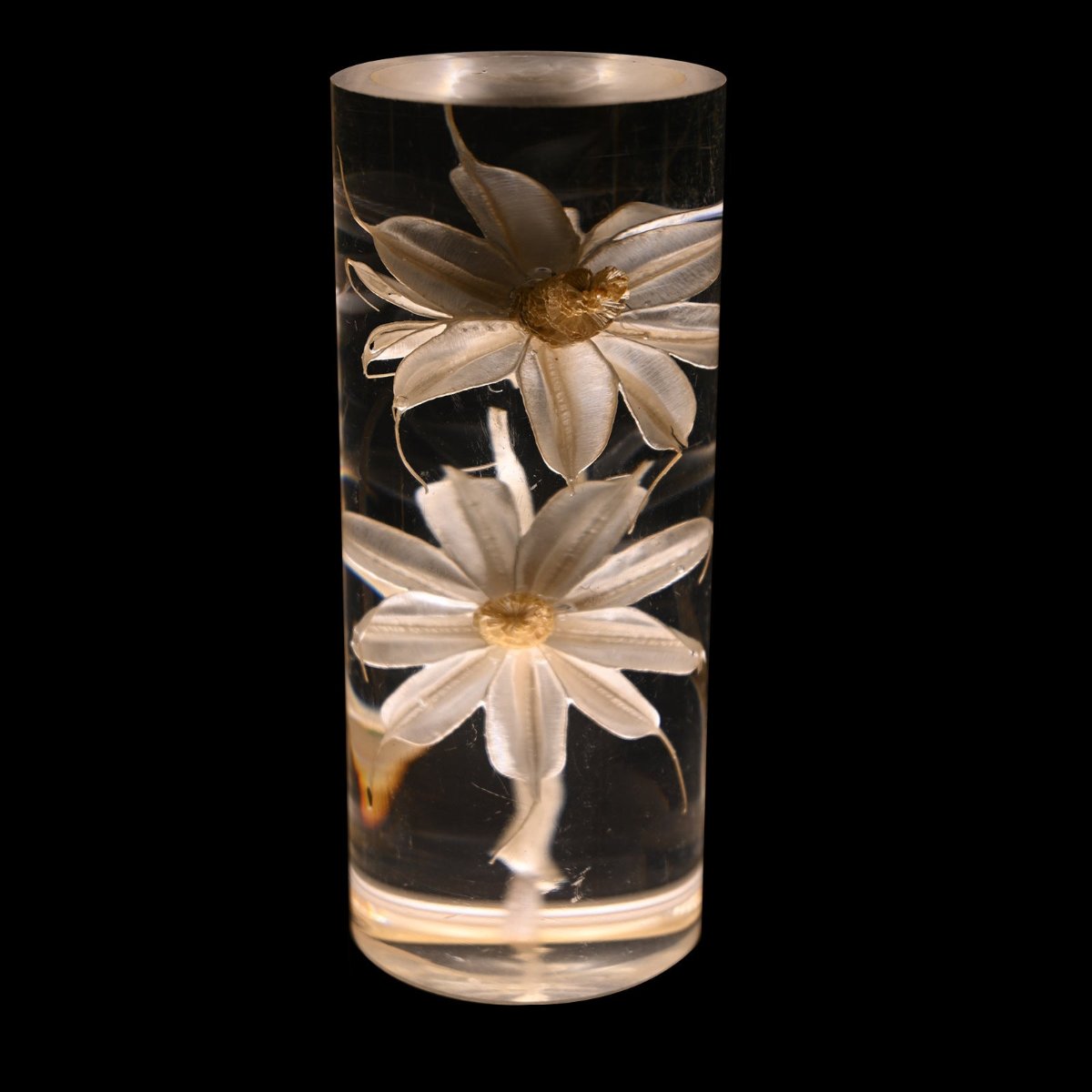 Floral Table Lamp with Real Flowers for Modern Home Decor Daisies NaLani