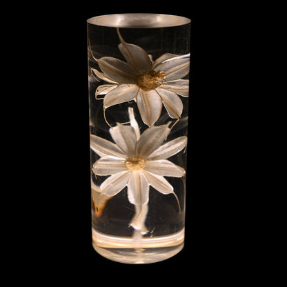 Floral Table Lamp with Real Flowers for Modern Home Decor Daisies NaLani