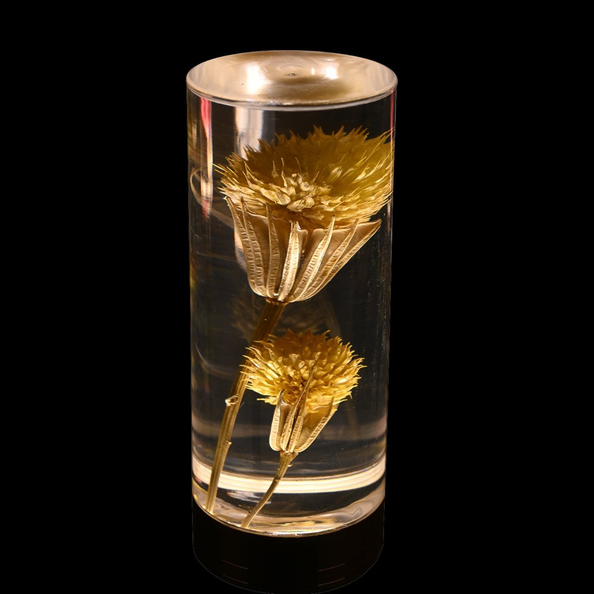 Floral Table Lamp with Real Flowers for Modern Home Decor Dandelions NaLani