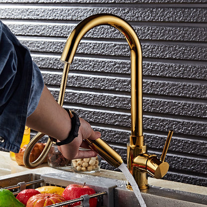 Gold Finish Single Hole Kitchen Faucet With Pull Sprayer NALANI
