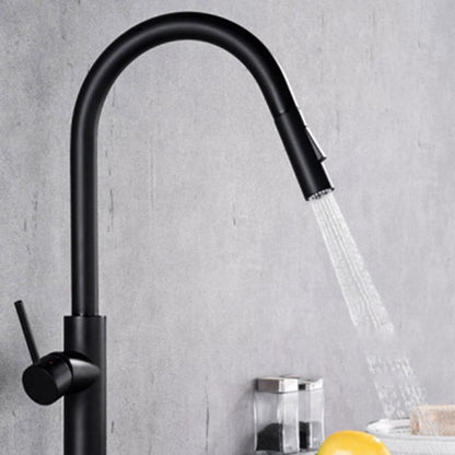 Gooseneck Copper Kitchen Faucet Single Handle Hot Cold NALANI