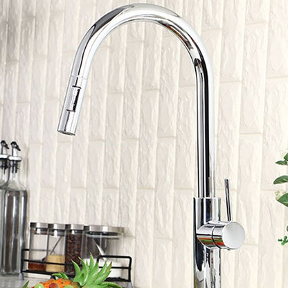 Gooseneck Copper Kitchen Faucet Single Handle Hot Cold NALANI