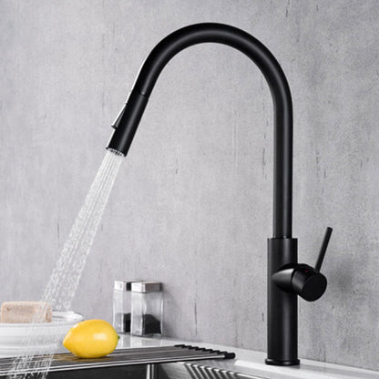 Gooseneck Copper Kitchen Faucet Single Handle Hot Cold NALANI