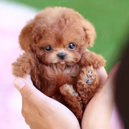 Interactive Plush Dog With Realistic Movements For All Ages Brown NALANI
