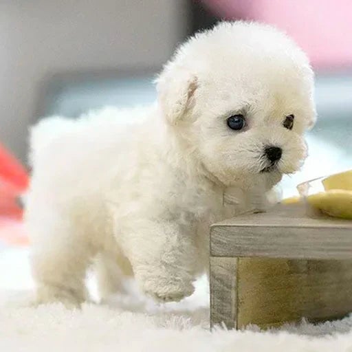 Interactive Plush Dog With Realistic Movements For All Ages White NALANI