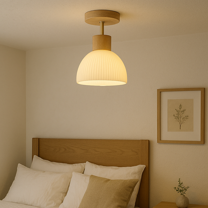 Minimalist Ceiling Light With Modern Compact Design NALANI
