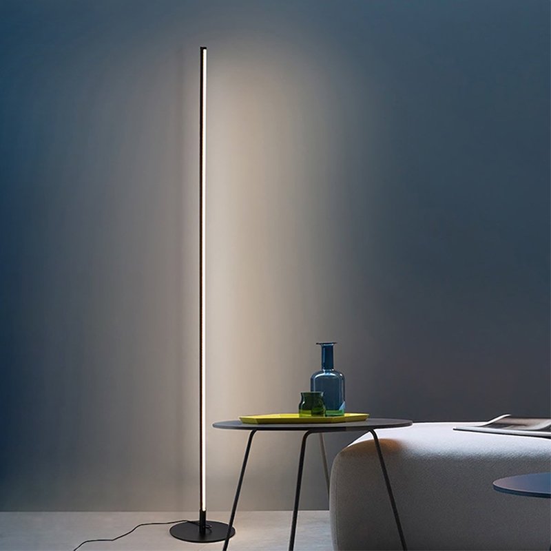 Modern LED Floor Lamp With Remote Dimmable Warm Cool White NALANI