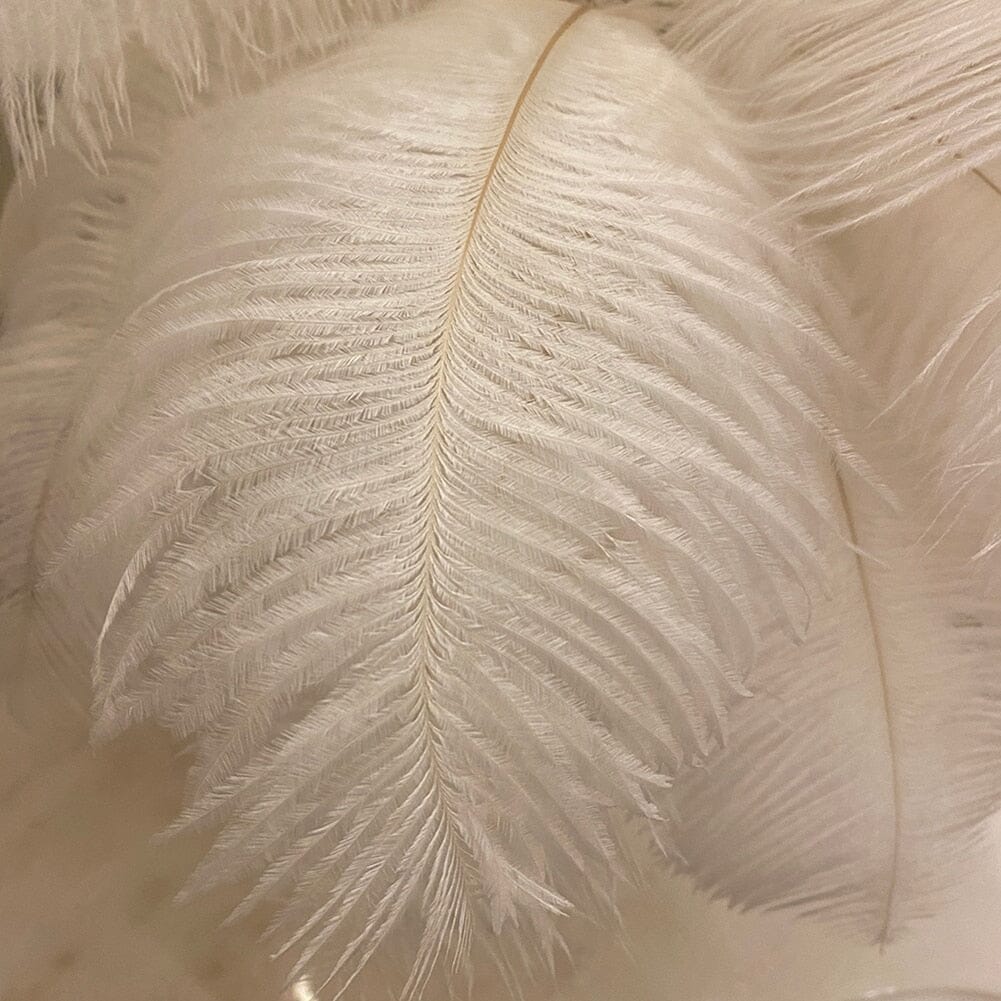 Modern Minimalist Feather LED Lamp With Ostrich Feather NALANI