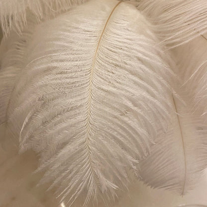 Modern Minimalist Feather LED Lamp With Ostrich Feather NALANI