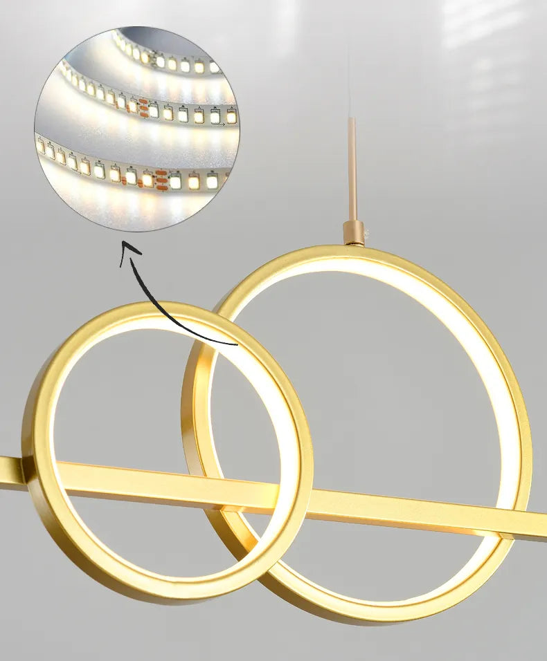Modern Minimalist LED Pendant Lights With Remote Control NALANI