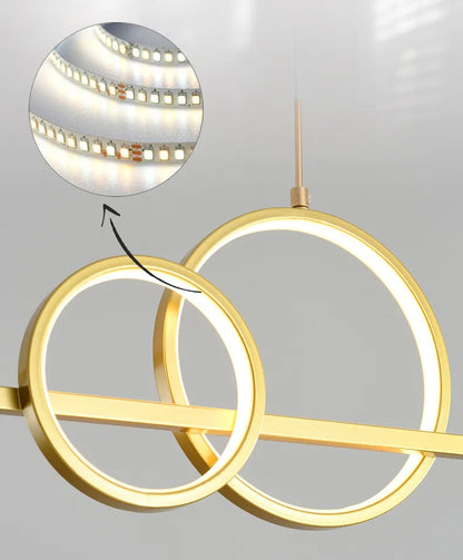 Modern Minimalist LED Pendant Lights With Remote Control NALANI