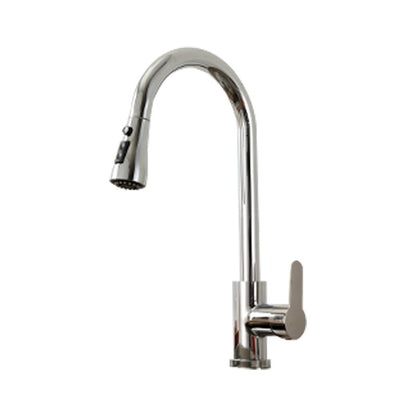 Modern Stainless Steel Kitchen Faucet Dual and Tri Mode NALANI
