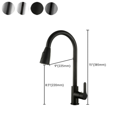 Modern Stainless Steel Kitchen Faucet Dual and Tri Mode NALANI