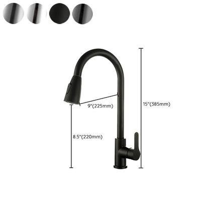 Modern Stainless Steel Kitchen Faucet Dual and Tri Mode NALANI