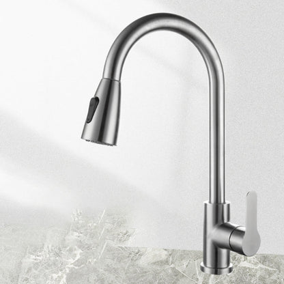 Modern Stainless Steel Kitchen Faucet Dual and Tri Mode Nickel Dual Mode NALANI