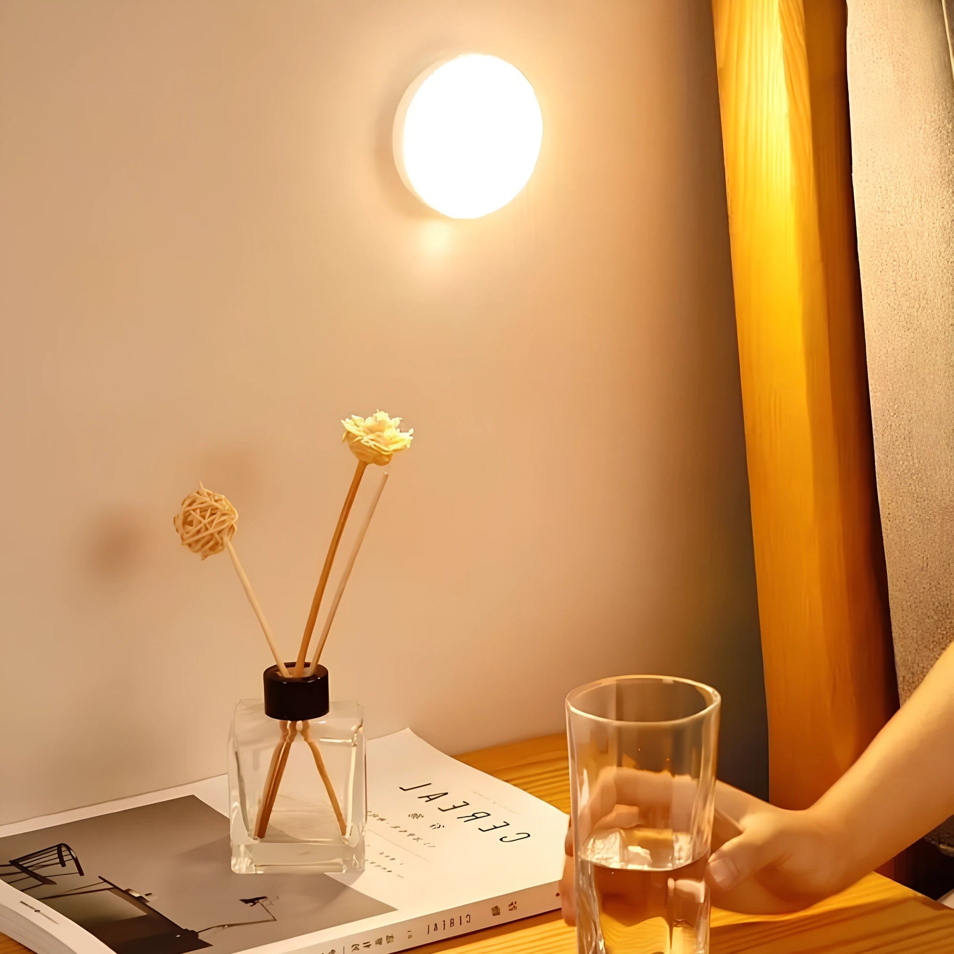 Motion Sensor LED Light Battery Powered or USB Rechargeable NaLani