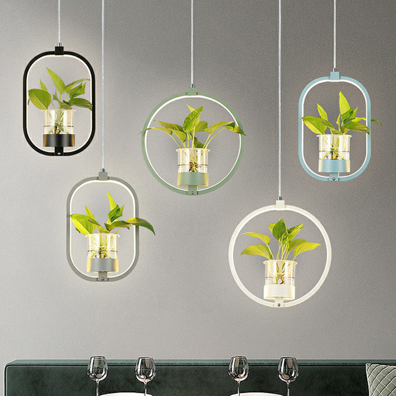 Nordic Circular LED Ceiling Pendant Light For Dining Room NALANI