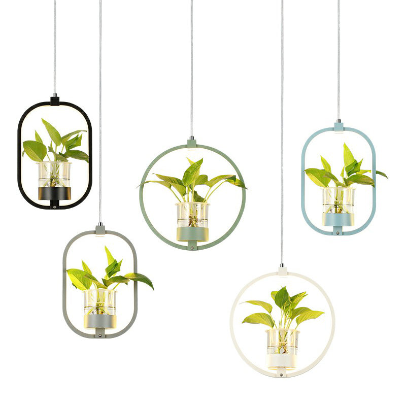 Nordic Circular LED Ceiling Pendant Light For Dining Room NALANI