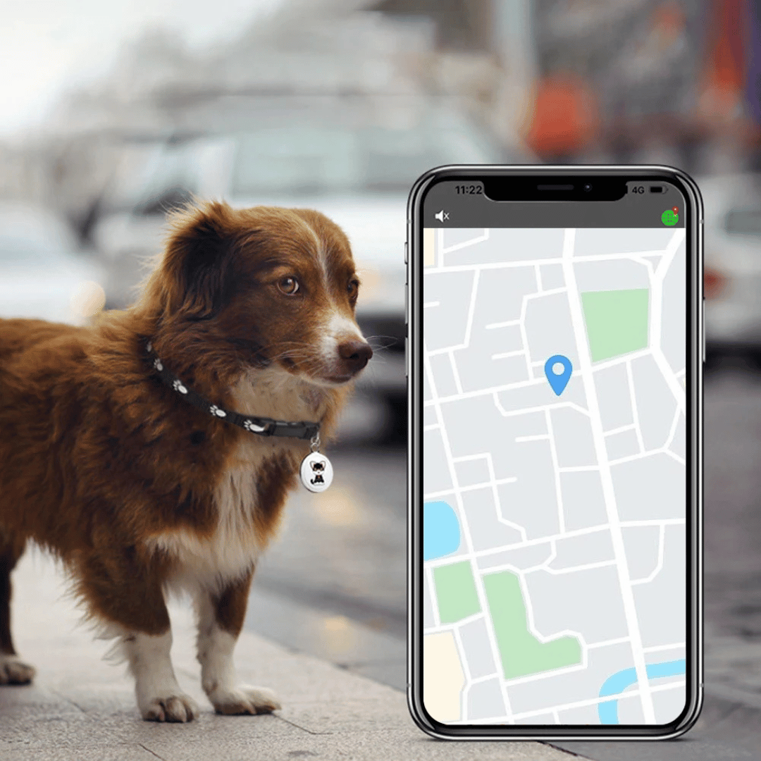 Pet GPS Tracker For Dogs And Cats With Real-Time Location NALANI