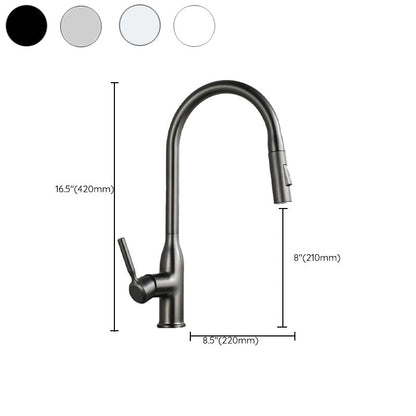 Pull Down Kitchen Faucet One Handle High Arc Dispenser NALANI