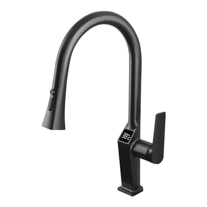 Pull Down Kitchen Faucet With Sprayer And Single Handle Black NALANI