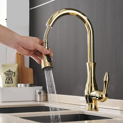 Pull Out Stainless Steel Kitchen Faucet With Flexible Spray-Elektronica/Gadgets-NaLani